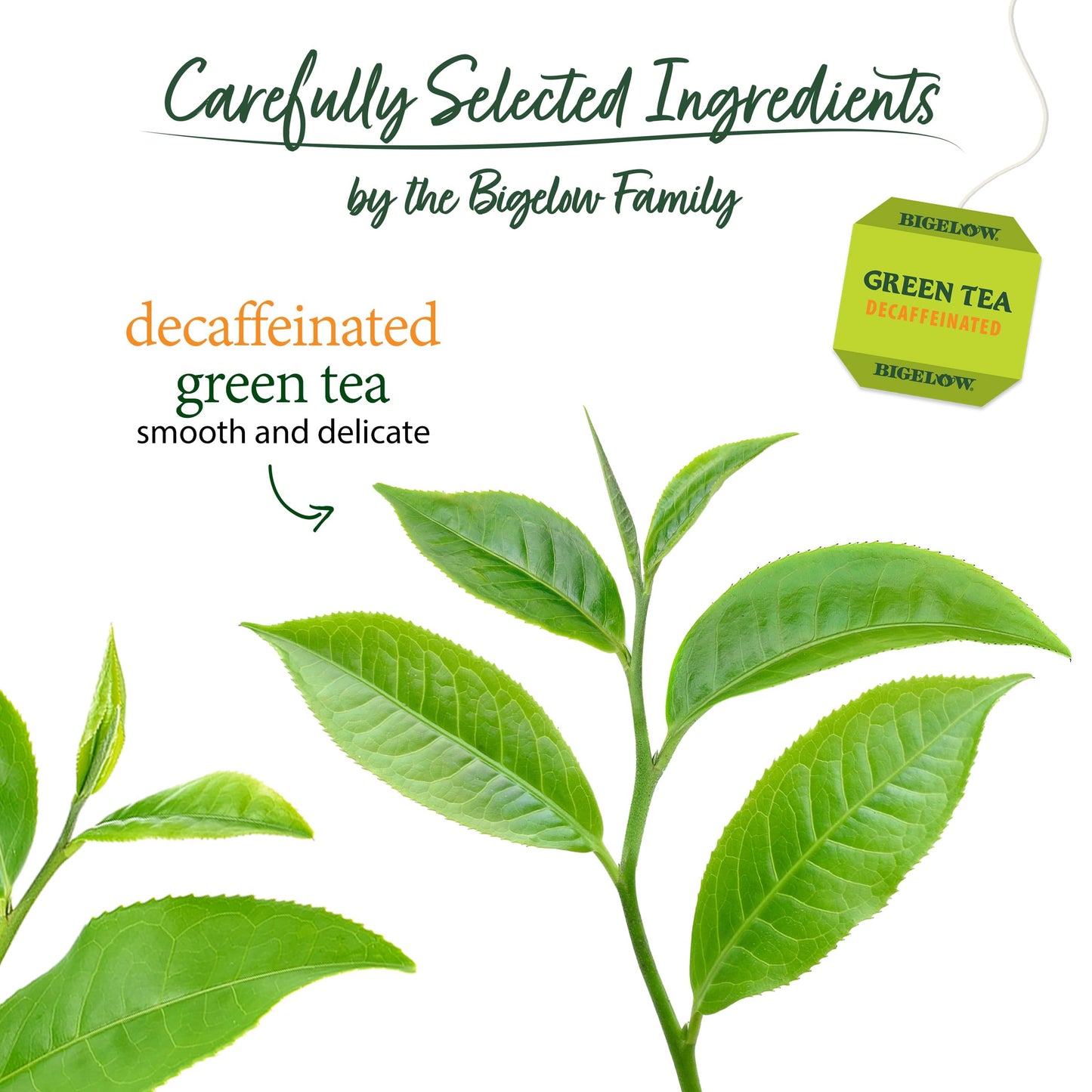 Bigelow Tea Classic Green Tea Decaffeinated, 20 Total Tea Bags (Pack of 1)
