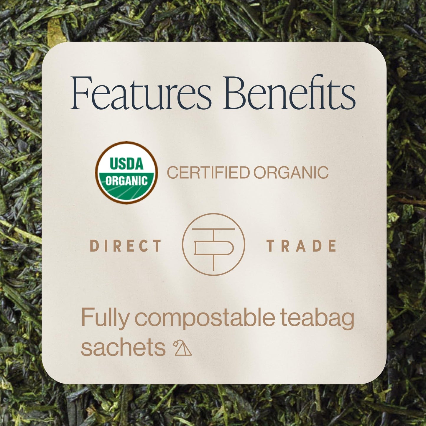 Rishi Tea Sencha Green Tea - Organic Sachet Bags, Caffeinated Japanese Green Tea, Enjoy Hot or Iced - 15 Count (Pack of 1)