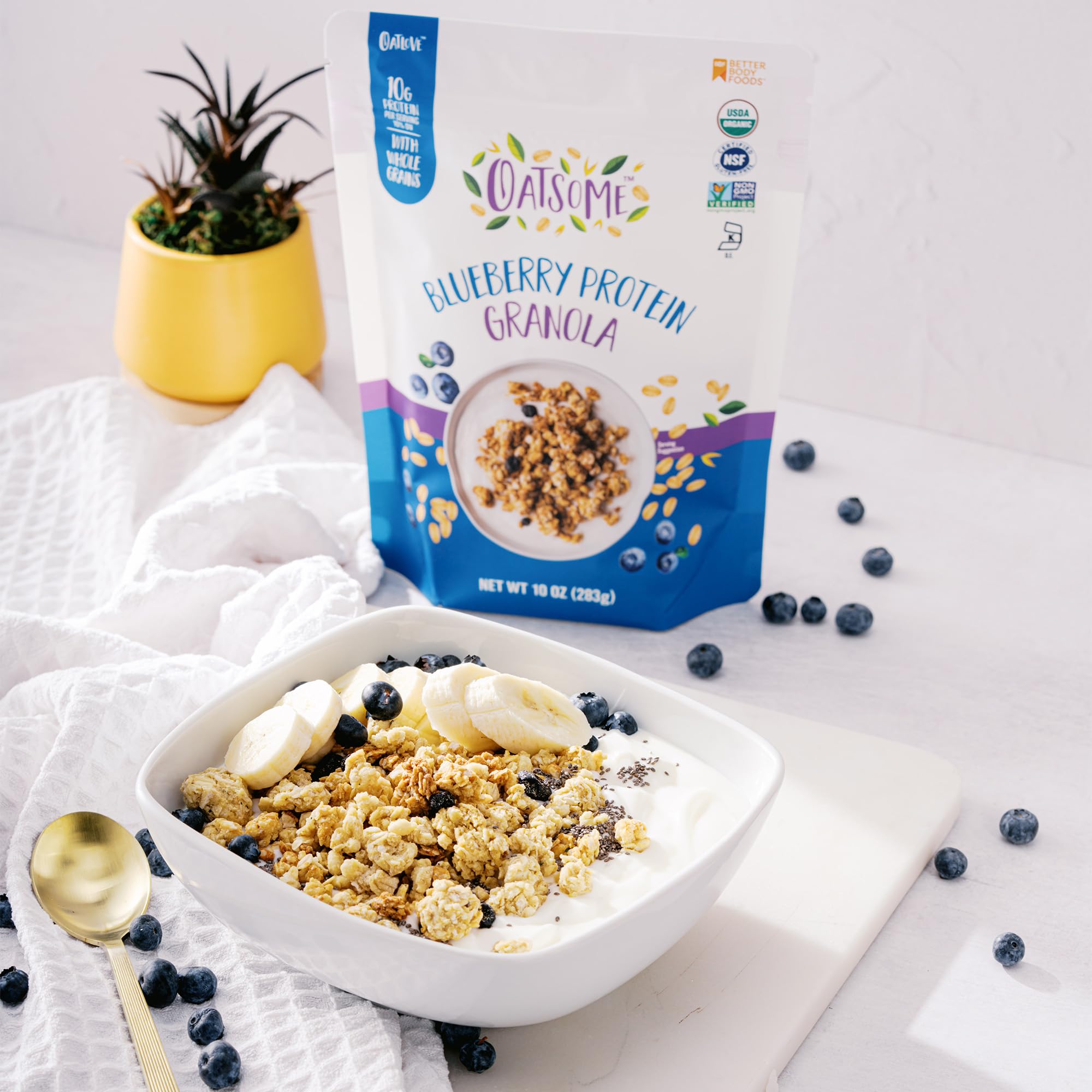 Oatsome Blueberry Protein Granola, 10g Protein, Gluten Free, Made with Whole Grain Organic Oats, Real Blueberries, & Hemp Seeds, for Protein Snacks