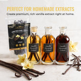 5Senses Uganda Vanilla Beans | Grade B Extraction Grade Whole Pods | Single Origin (Rwenzori Valleys) | High Vanillin (~2.0%) & Moisture (~24%) | 15cm