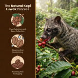 Gate to Nature Wild Kopi Luwak Whole Beans (1kg), Civet coffee luxury Kopi Luwak Coffee Gifts - Sourced from the best regions of Vietnam Ethically