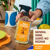 Aunt Fannie's All Purpose Wood Spray Cleaner, No-Wax Formula, Perfect for Wood Tables, Walls, Counters & Shelves, 16.9 Ounces, Lemon Scent (Pack of 3)