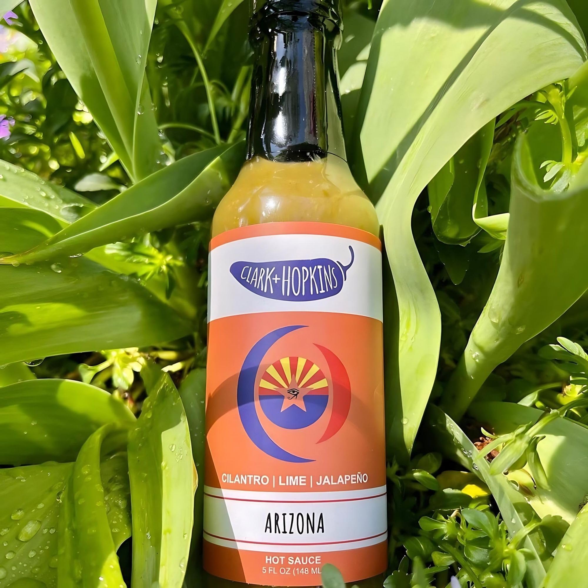 Clark + Hopkins Arizona Sauce, Arizona's Zesty and Refreshing Sauce, Made with Fresh Lime, Cilantro, Jalapen?o and Habanero, 5 Ounce (1 Pack)