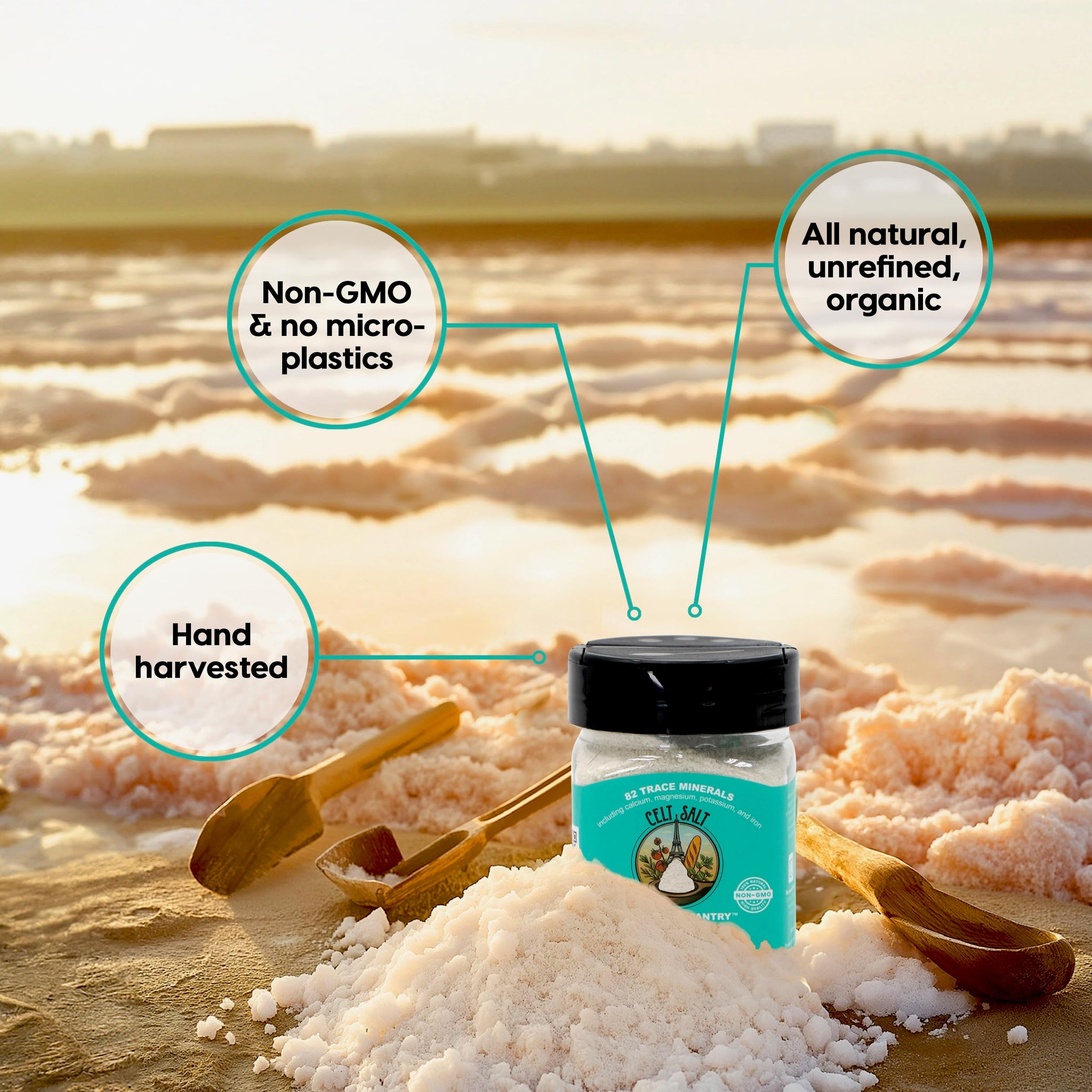 French Grey Sea Salt (Celt Salt) Coarse Ground Shaker 8 oz (1/2 lb) | Organic, All-Natural, Hand-Harvested & Unrefined | Rich in 82 Minerals