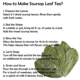 Dried soursop leaves Graviola Leaves Tea - Whole Dried Guanabana Loose Leaf, 100+ Leaves, Caffeine-Free, Vacuum-Sealed Pack