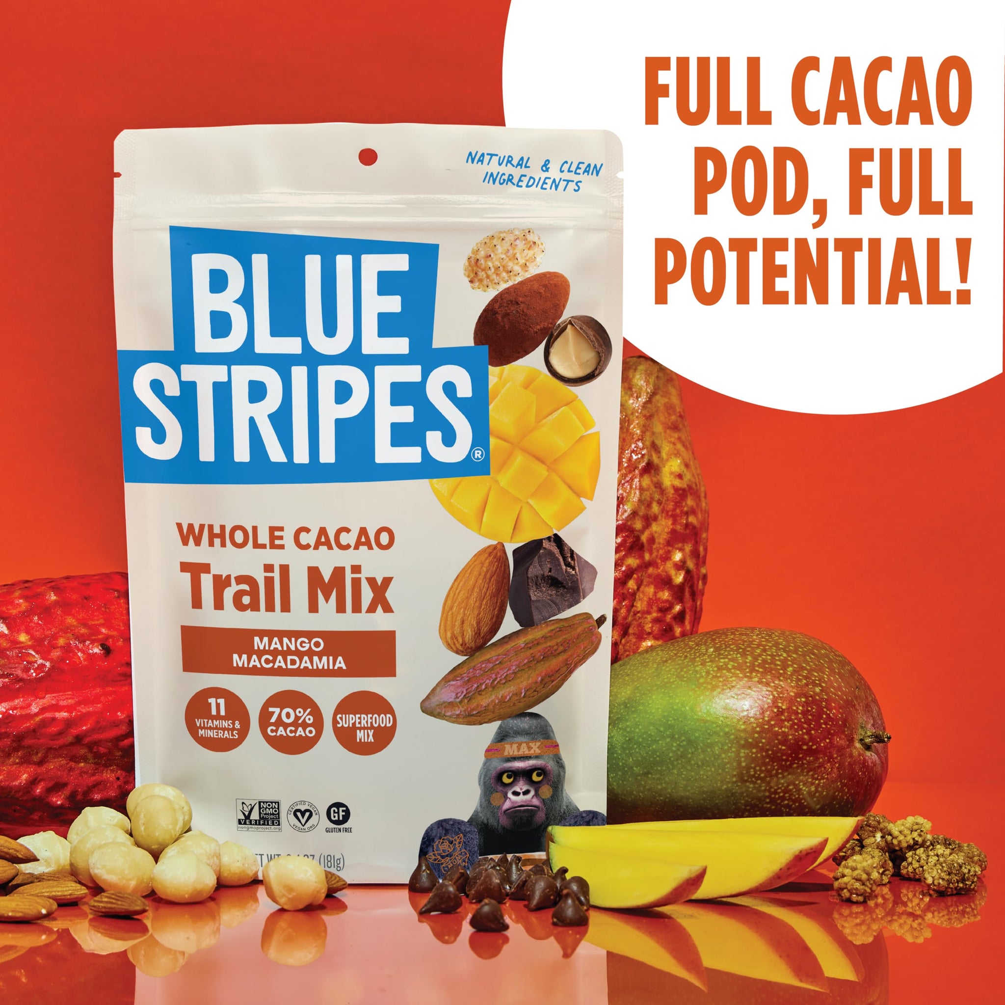 Blue Stripes - Trail Mix, 70% Chocolate Chips, Almonds, Macadamia Nuts, Mango, Healthy Snacks for Adults, Whole 70% Cacao, With Unrefined Sugar, Non