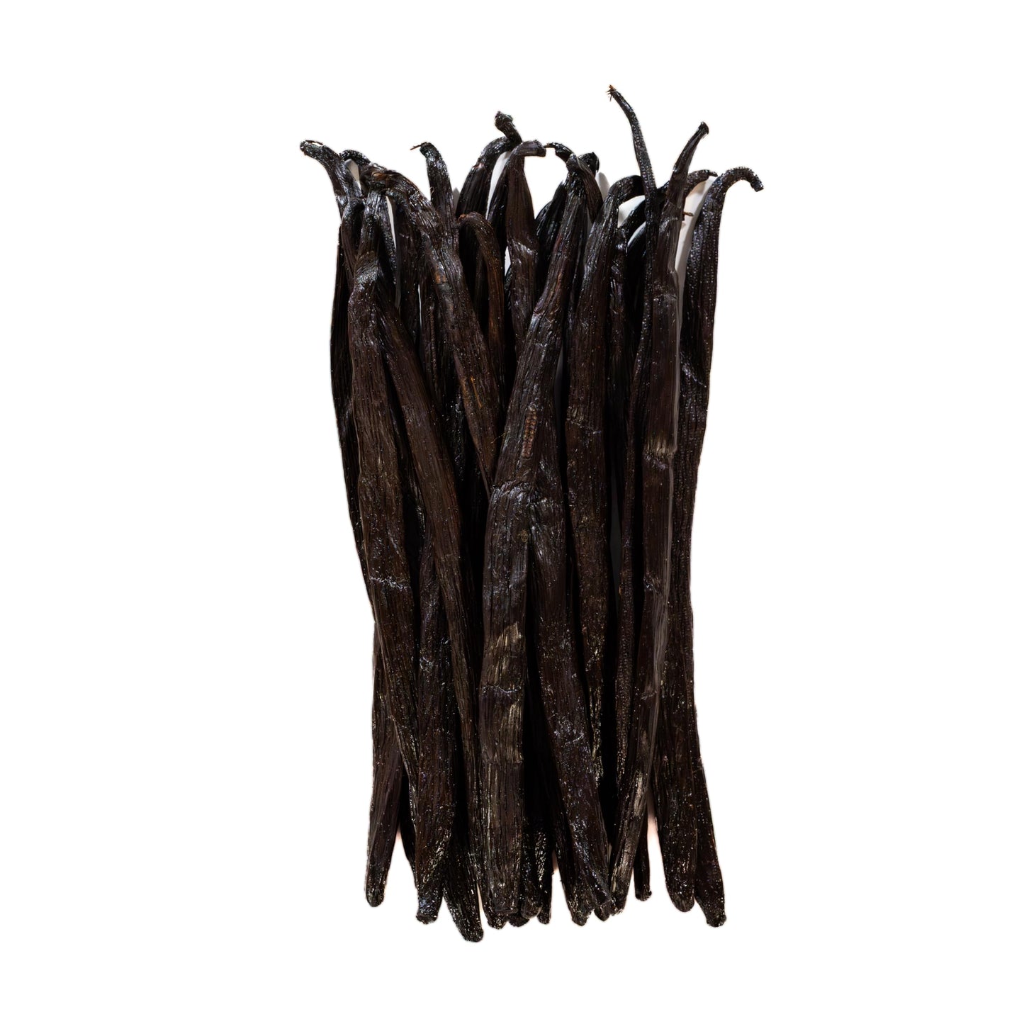 Grade A Ugandan Vanilla Beans - Plump, Moist, Oily & Fresh - Perfect for Baking, Extracts & Desserts - Pack of 25