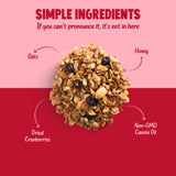 Kellys Four Plus Granola Cereal | Cranberry Nut Healthy Granola for Yogurt | Hand Made Snacks for Breakfast - 12 oz