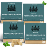 Remineralizing Chewing Gum - 2026 Sugar-Free Gum with Xylitol & Hydroxyapatite - Aspartame-Free, Sucralose-Free, Eco-Friendly - Fresh Mint - 4 Pack