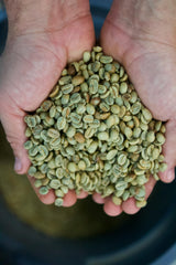 Deep Drop Blend - Whole Bean Coffee, Medium Roast