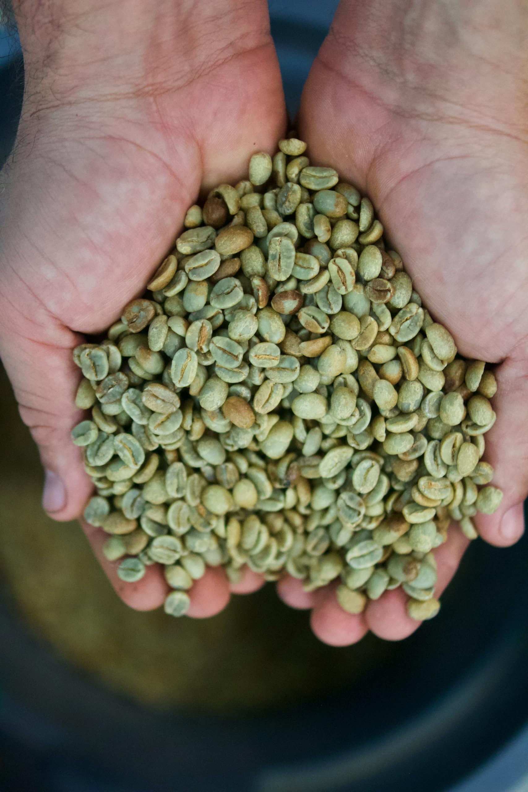 Deep Drop Blend - Whole Bean Coffee, Medium Roast