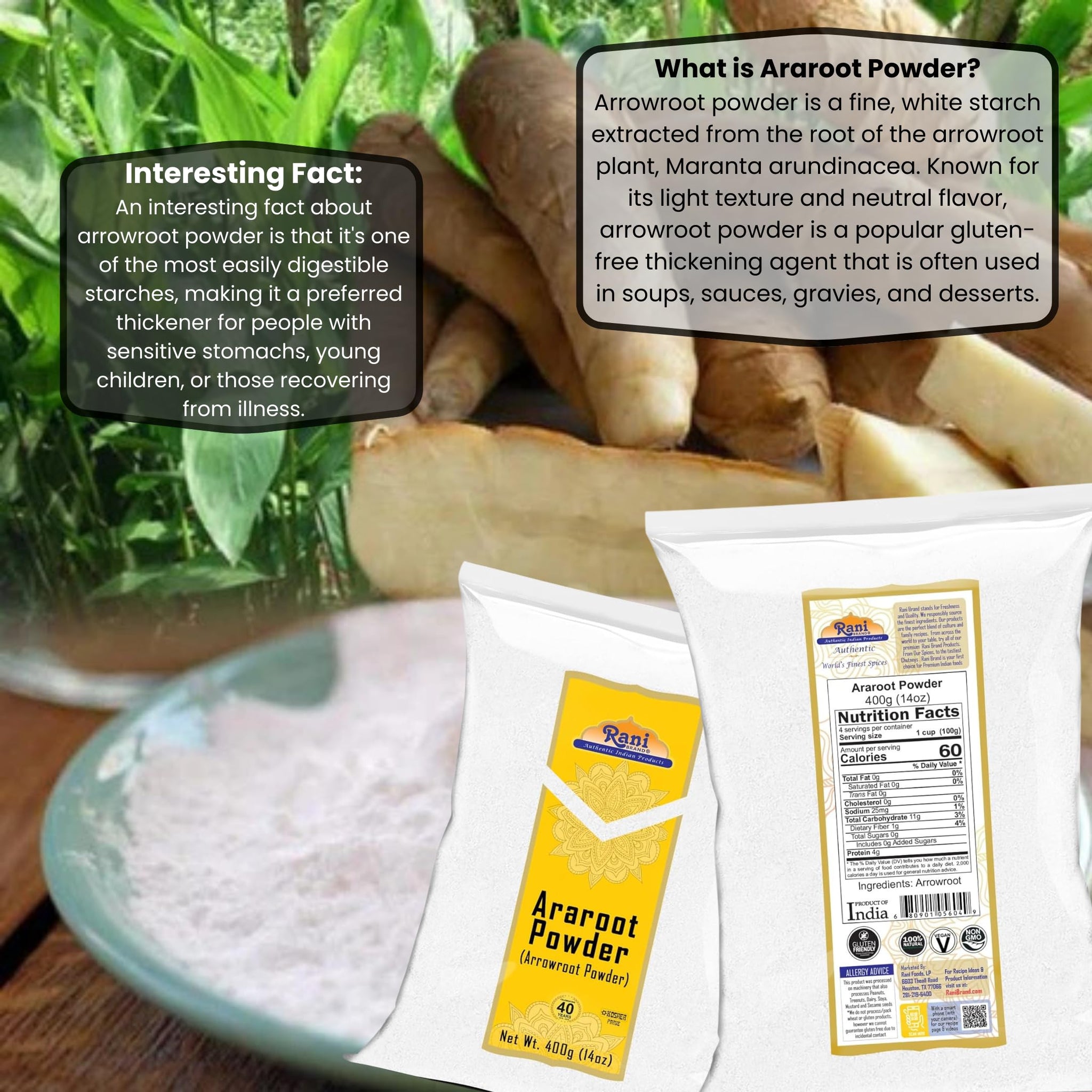 Rani Araroot (Arrowroot) Powder, Starch 14oz (400g) ~ All Natural | Gluten Friendly | No Color | Vegan | NON-GMO | Kosher | Indian Origin