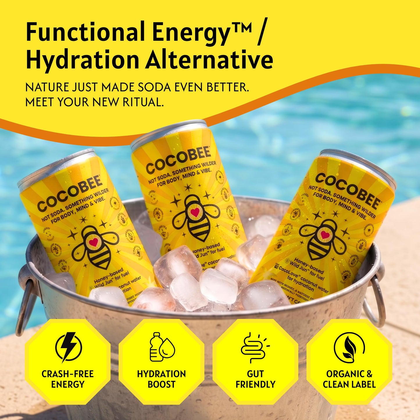 CocoBee Coconut Hydration + Energy Drink from Wild Tonic, 12 oz Each, 4 Pack, Made with Coconut Water, Organic Honey & Green Tea, Microbiome Support