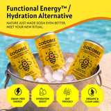 CocoBee Coconut Hydration + Energy Drink from Wild Tonic, 12 oz Each, 4 Pack, Made with Coconut Water, Organic Honey & Green Tea, Microbiome Support