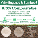 Homestockplus Large Disposable Bowls 48 Oz Heavy Duty Compostable Paper Bowls [100 Pack], Extra Large Catering Bowls for Restaurants, Salad, Buffet