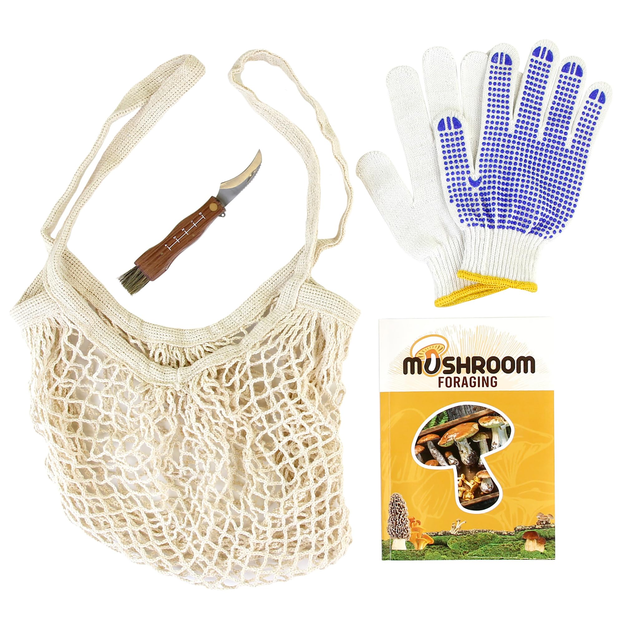 SpiceBox Gift Box: Mushroom Foraging Kit - Discover Nature's Delicacies and Become a Fungi Connoisseur