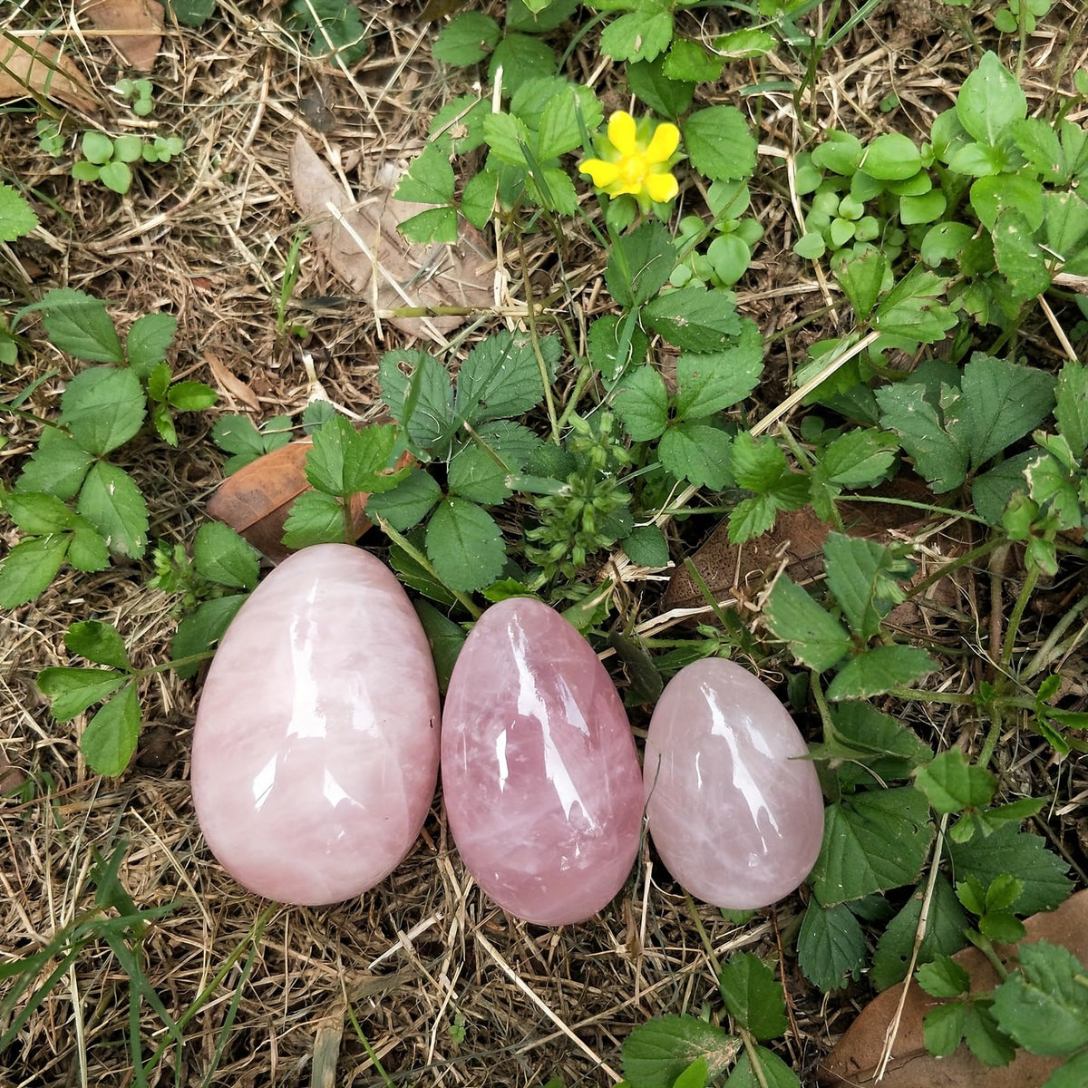IPUDIS 1pc 150-200g Rose Quartz Hand-Carved Eggs Easter Interior Decoration Eggs