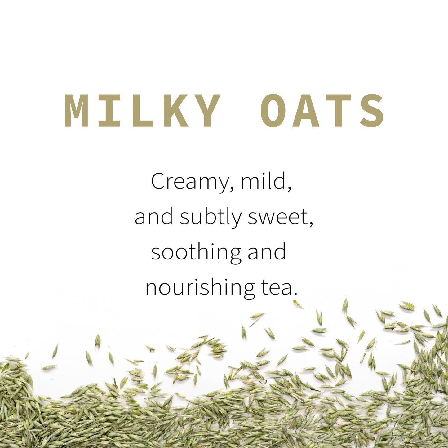 Milky Oats, Organically Grown in Wisconsin | 5.6 oz | 79 Servings | Sacred Blossom Farm | Herbal Tea & Medicinal Herbs | Loose Leaf | Regenerative