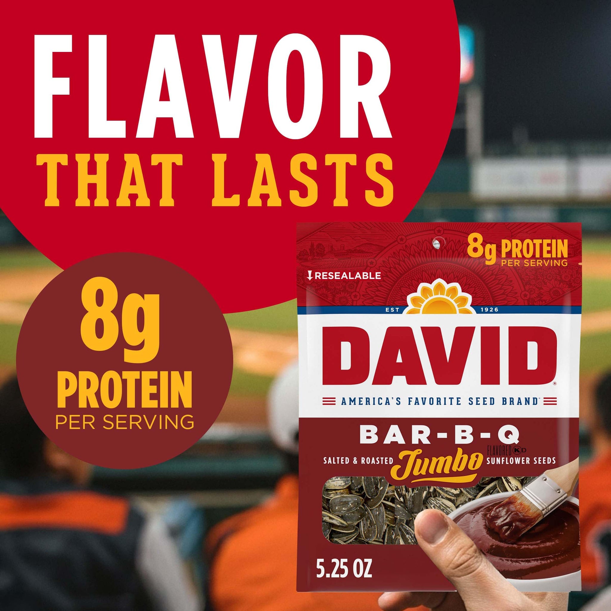 David's Sunflower Seeds BBQ (Pack of 2)