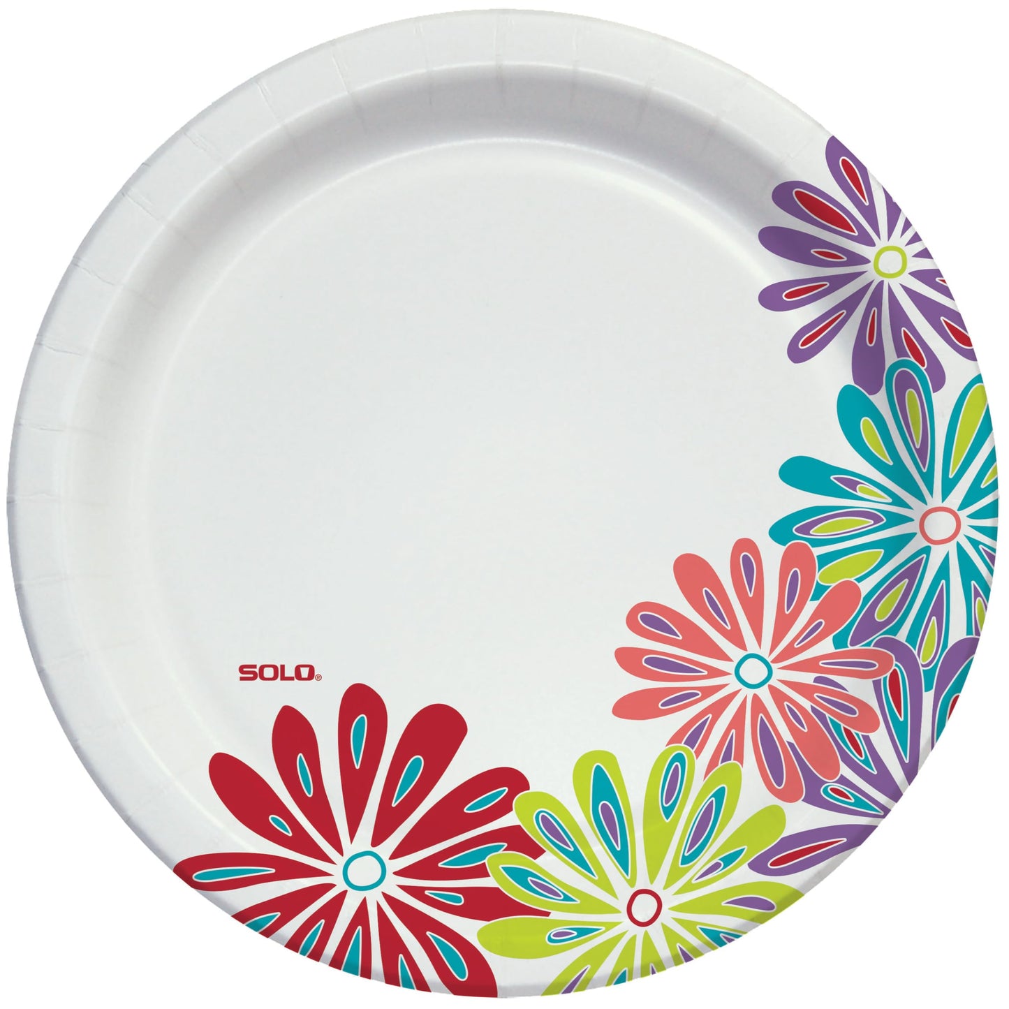 Solo Any Day Paper Plates, 10" Patterns May Vary (Pack of 4)