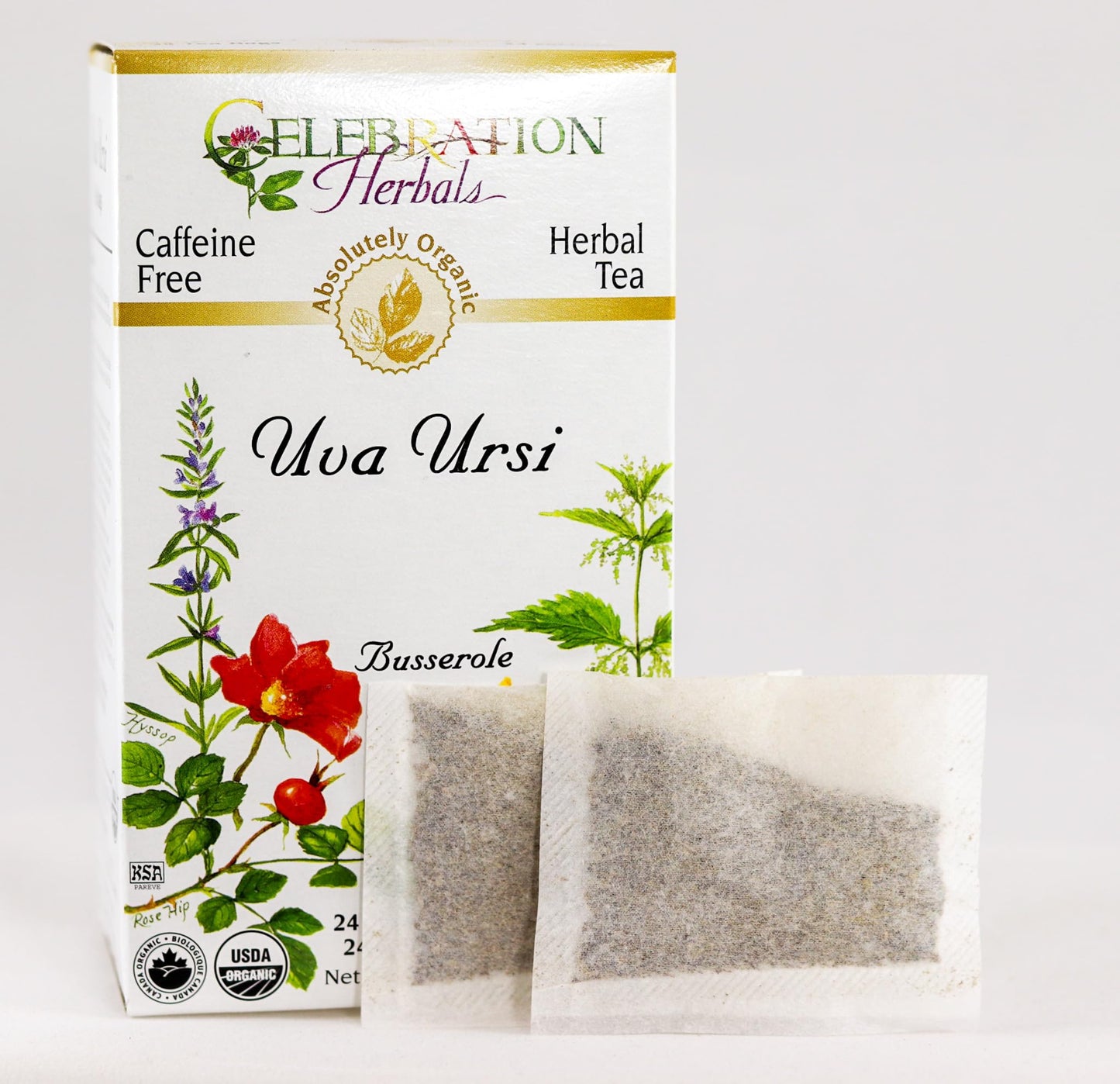 CELEBRATION HERBALS Uva Ursi Tea Organic 24 Bag, 0.02 Pound