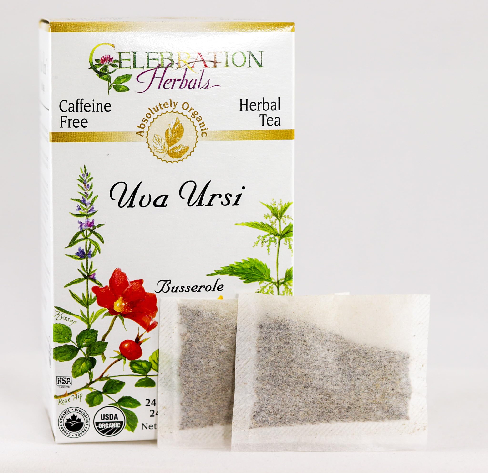 CELEBRATION HERBALS Uva Ursi Tea Organic 24 Bag, 0.02 Pound