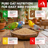 Morning Bird Steel Cut Oats 4.5 lb (3-Pack, 1.5 lb Each) - High Protein Natural Cut Oat Grain for Birds & Easy-to-Eat Pieces - Supports Balanced