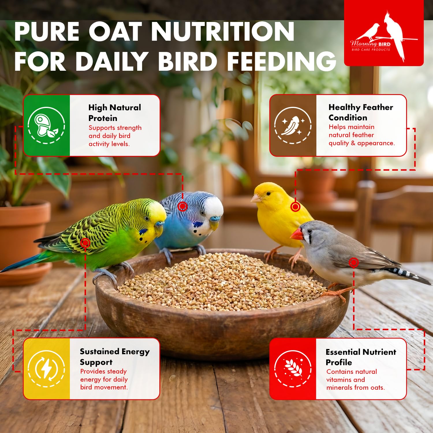 Morning Bird Steel Cut Oats 18 lbs (2-Pack, 9 lbs Each - High Protein Natural Cut Oat Grain for Birds & Easy-to-Eat Pieces - Supports Balanced