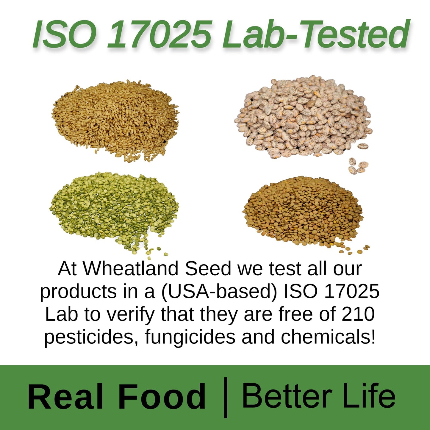 Wheatland™ Soft White Wheat Berries • 23 lbs • Delicious • Healthy Food Option • Farm Fresh • Mylar and Bucket Provide 25 Year Shelf Life • Emergency