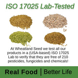 Wheatland™ White Rice • Delicious • Healthy Food Option • 20 lbs. Bulk Rice • Mylar and Bucket Provide 25 Year Shelf Life • Emergency Food Storage • Non-GMO • High Trust Seller • 40 Year Legacy of Prepping