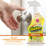 OdoBan 360-Degree Continuous Spray Natural Oil Real Citrus Orange Air Freshener, 10 Ounce, and Multipurpose Disinfectant Cleaner, 32 Ounce Spray, Made