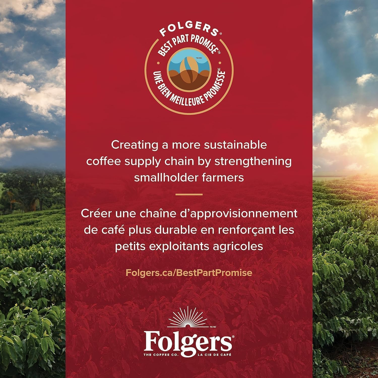 Folgers Vanilla Biscotti Coffee Pods,12 Pods,108g {Imported from Canada}