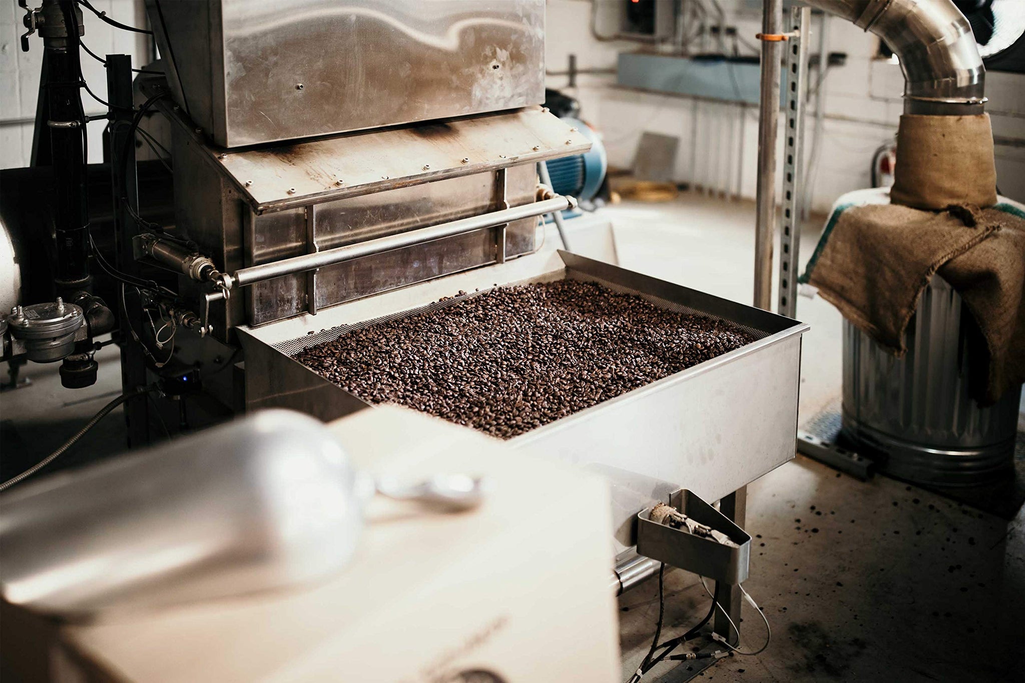 Good As Gold Coffee Roasters - Light/Medium Roast, Air Roasted Coffee Beans - 5LB Bag Whole Bean