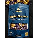 Lotus Flower Tea | Ankhclave's Sesen | 1oz Bag