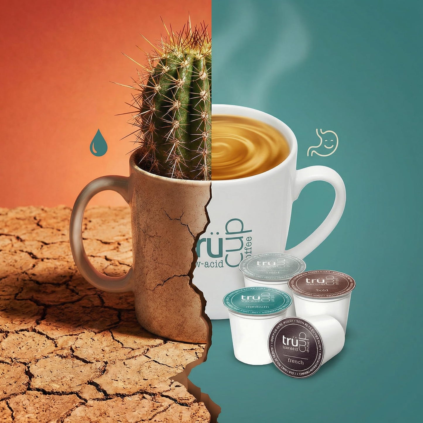 trücup Low Acid Coffee, Whole Bean Coffee French Roast 2 LB, Natural Water&Steam Process (60% Less Acid), Smooth Flavor, Stomach-Friendly Rich in