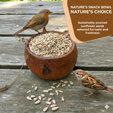 Trailmark Naturals 15 LB Medium Sunflower Chips, Shelled Seeds for Birds - Premium Wildlife & Bird Food - Grown in USA - Non-GMO - Medium Chip