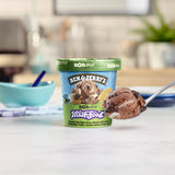 Ben & Jerry's, Non Dairy Phishfood Ice Cream, 16 Fl Oz