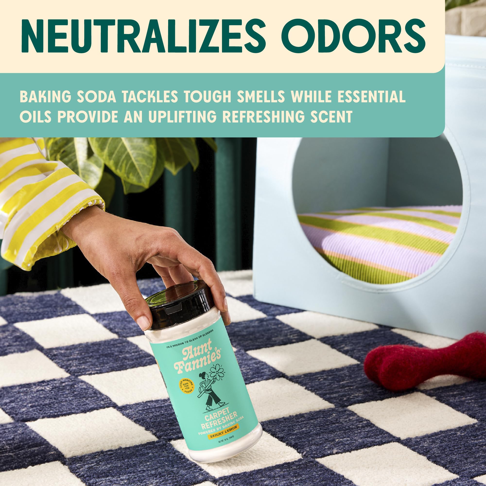Aunt Fannie's Carpet Refresher & Deodorizer Powder, Multi-Purpose Carpet, Rug, and Upholstery Odor Eliminator for Homes with Cats and Dogs, Bright