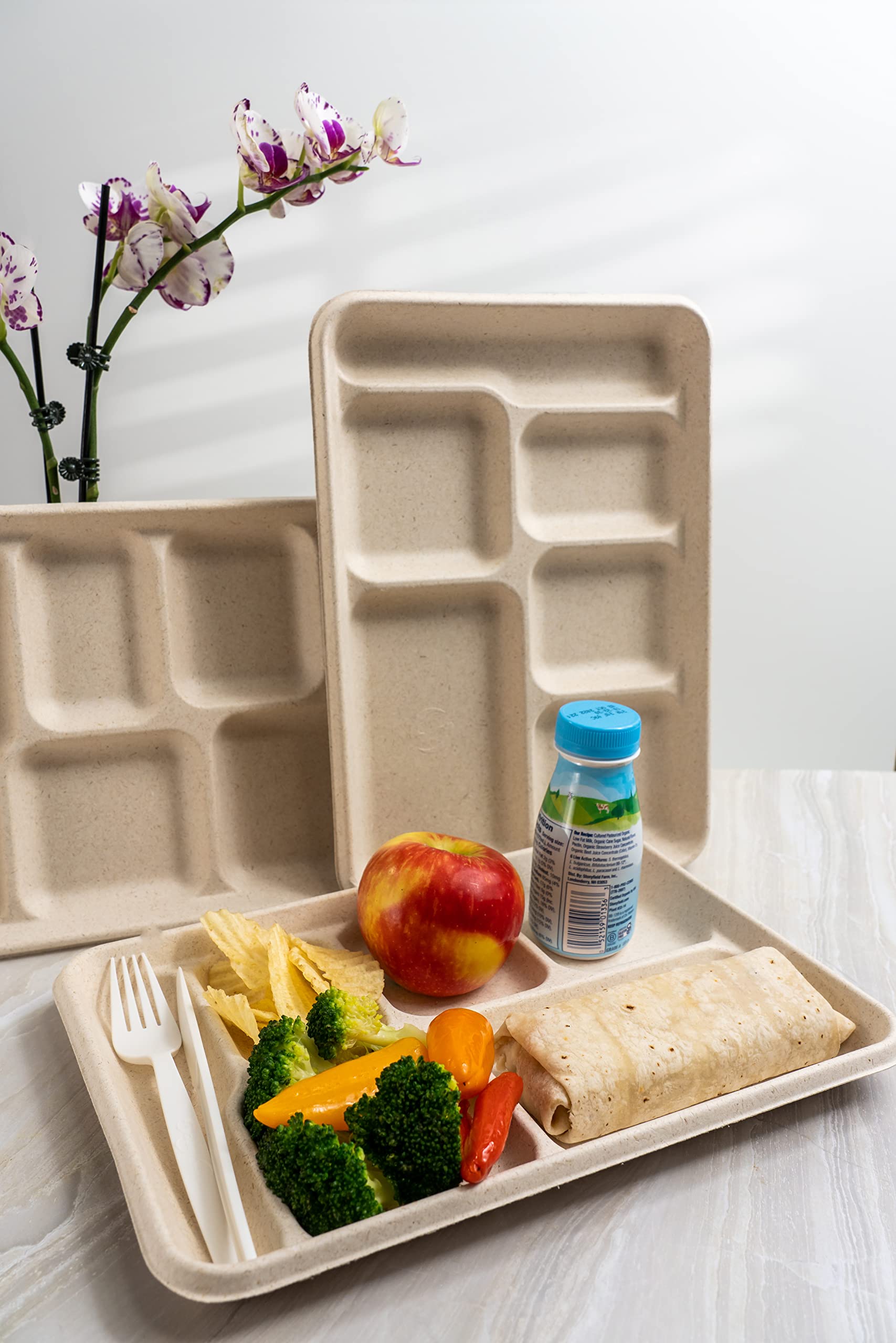 [Pack of 125] Green Wave OV-T026 8.6"x12.5" 6-compartment school lunch Tray |Heavy Duty Marble Look | 100% Compostable | Disposable Eco-friendly |