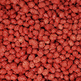 Candy Retailer French Burnt Peanuts 1 Lb.