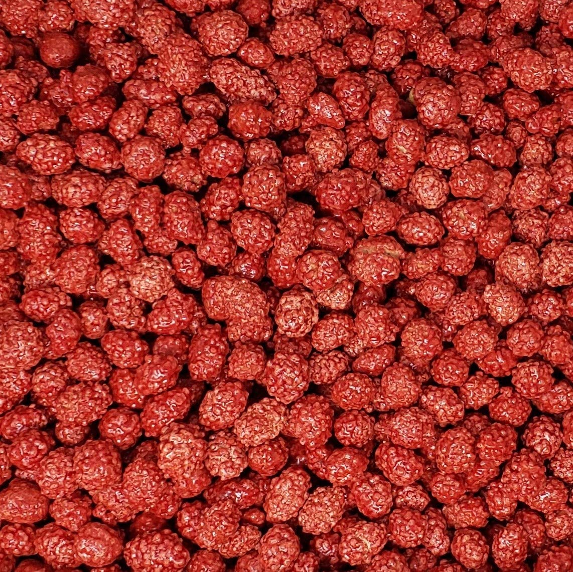 Candy Retailer French Burnt Peanuts 1 Lb.