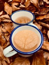 Premium Chaga Mushroom - 30 Tea Bags of 100% Wild Harvested Canadian Chaga Tea