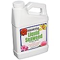 Maxicrop 1-Liter Seaweed Plus Iron