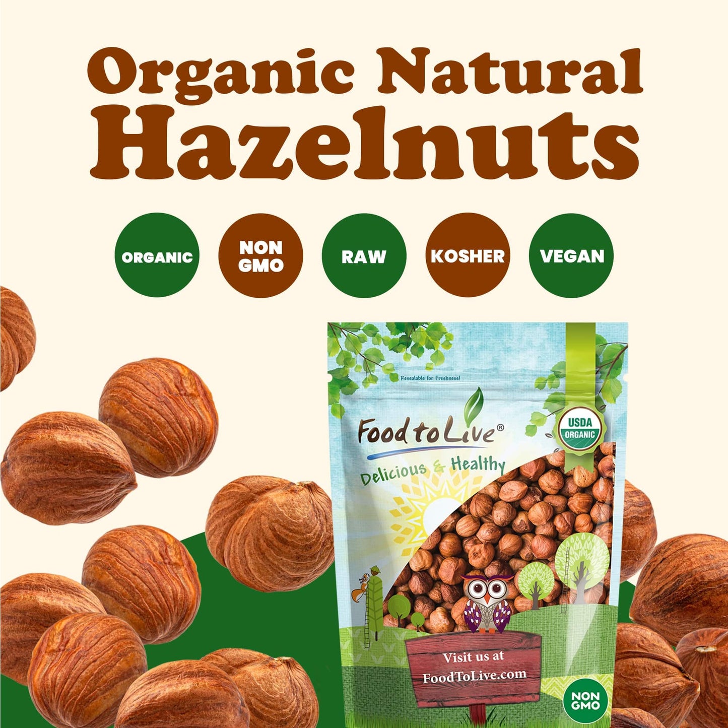 Food to Live Organic Hazelnuts, 1 Pound - Non-GMO, Raw Filberts, Whole, Shelled, Unsalted, Kosher, Vegan, Bulk. Crunchy, Wholesome Snack. Great
