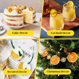 Premium Dried Lemon Slices 4oz (113g) - 100% Natural, Handpicked & Additive-Free | Dehydrated Lemon Slices for Cocktails, Teas, Baking, Decor & Crafts