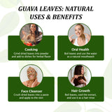 2.6oz Guava Leaves Dried, Hojas de Guayaba Secas, Dried Guava Leaf, Leaf Tea, Non-GMO, No Additives, Caffeine-free. by Akshit
