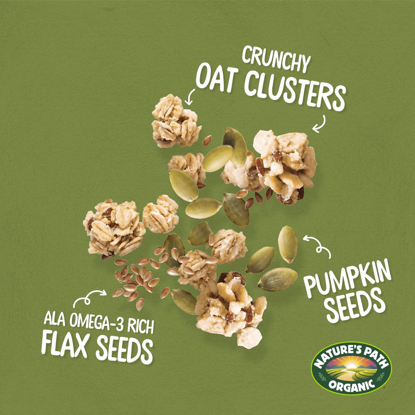 Nature's Path Organic Pumpkin Seed + Flax Granola, 24.7 oz (Pack of 1), Non-GMO
