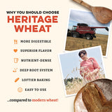 Sunrise Flour Mill Heritage Organic Whole Wheat Flour - 5 lbs | Milled from red hard wheat within 10 Days | Easier to Digest with Less Bloating | No