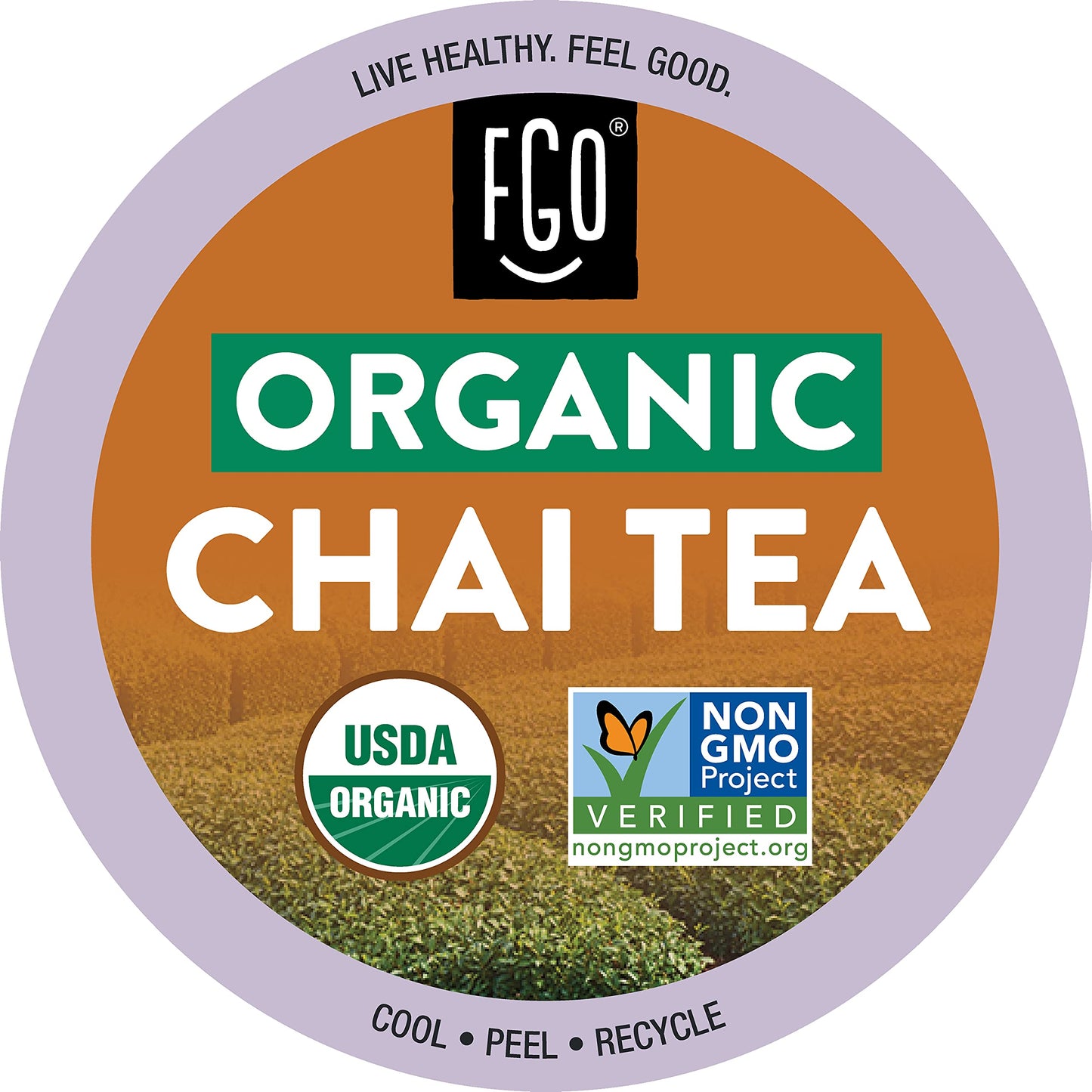 FGO Organic Chai Black Tea K-Cup Pods for Keurig, 24 Count (Pack of 1), Premium Black Tea with Chai Spice is USDA Organic, Non-GMO, & Recyclable
