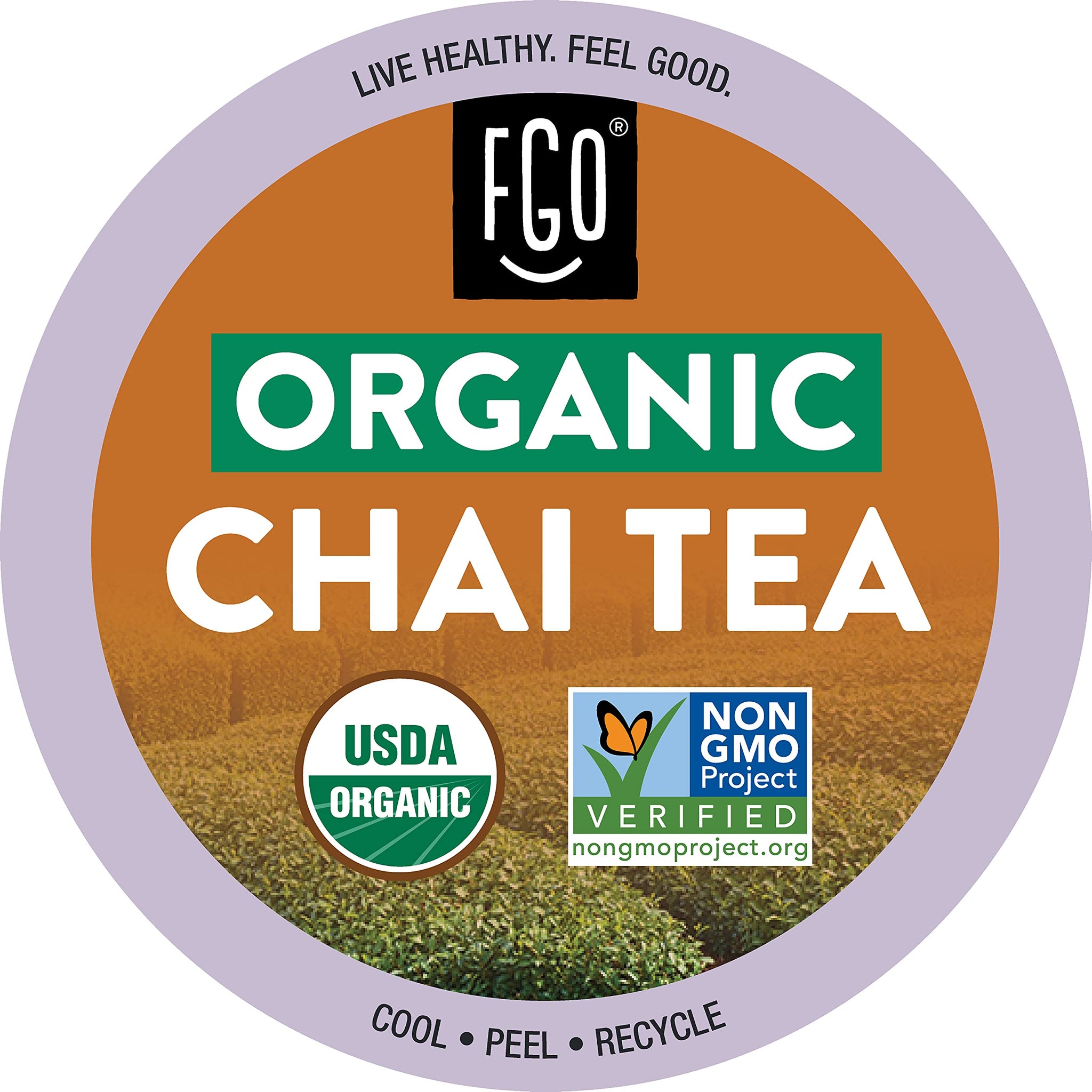 FGO Organic Chai Black Tea K-Cup Pods for Keurig, 24 Count (Pack of 1), Premium Black Tea with Chai Spice is USDA Organic, Non-GMO, & Recyclable